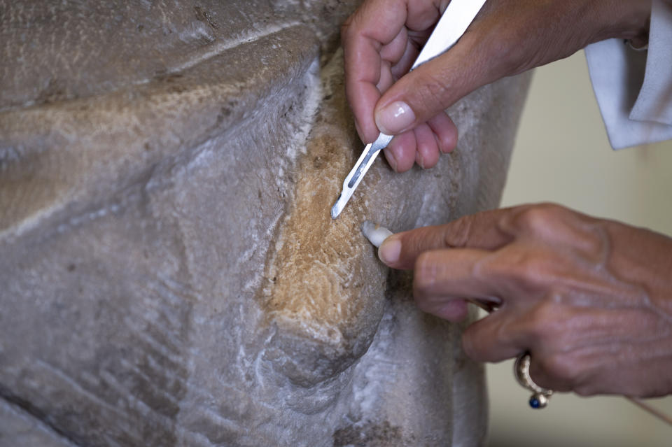 A restorer works on one of Michelangelo's Pieta sculpture in Florence, Italy, Tuesday, Sept. 8, 2020. A restoration of one of Michelangelo’s Pieta sculptures has uncovered previously unknown details, including the artist’s tool marks, that had been hidden under centuries of dust and wax. Florence’s Museo dell’Opera del Duomo said Wednesday, Sept. 16, 2020 that the cleaning of the Bandini Pieta, which began last year but was suspended because of the coronavirus pandemic, had resumed and that the public was now invited to watch restorers at work. Michelangelo carved the Bandini Pieta between 1547-1555, when he was nearly 80. (Claudio Giovannini/Opera di Santa Maria del Fiore via AP)