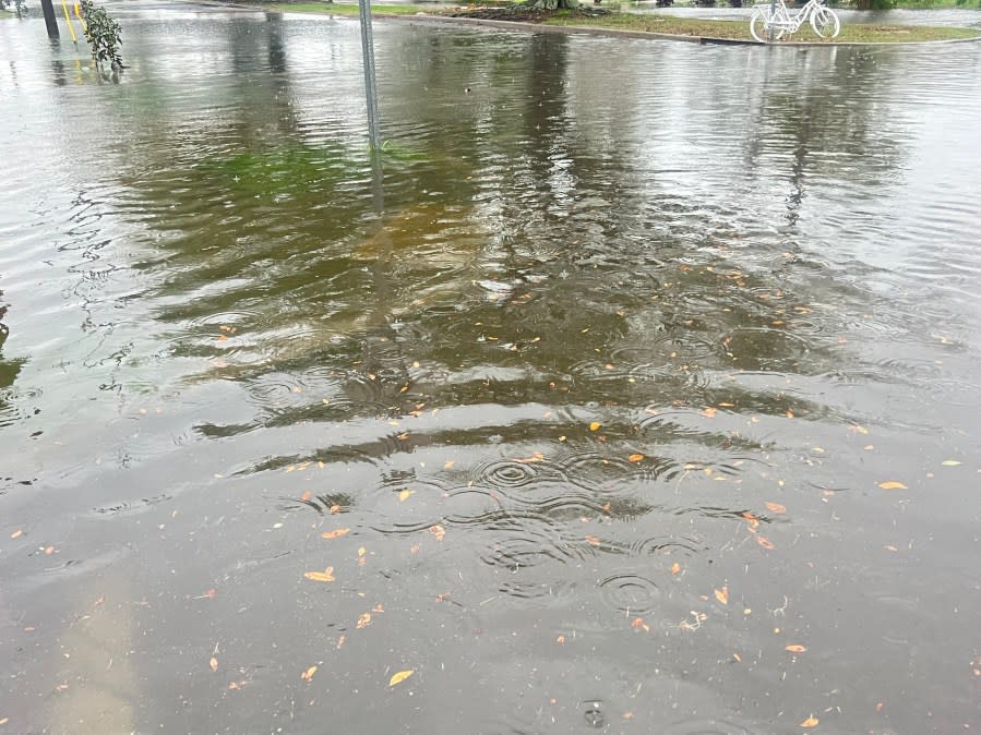 Flooding at St. Bernard and Harrison avenues in New Orleans on Wednesday, April 10, 2024. (WGNO/Ashley Hamilton)