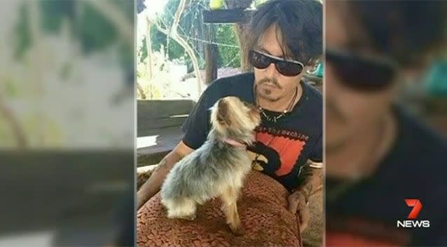 Johnny Depp with one of his beloved dogs. Source: 7 News.