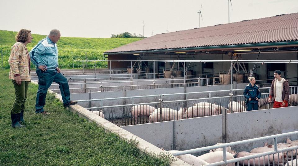 Bullen, die auf Schweine blicken: Bibi Fellner (Adele Neuhauser, links) und Moritz Eisner (Harald Krassnitzer, zweiter von links) schauen auf den Tatort. (Bild: ARD Degeto/ORF/Petro Domenigg)