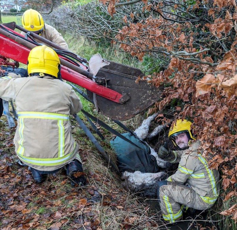 The Northern Ireland Fire & Rescue Service came to the assistance of a donkey named Snowie who ended up stranded in a muddy drainage ditch. Photo courtesy of NIFRS North/Facebook
