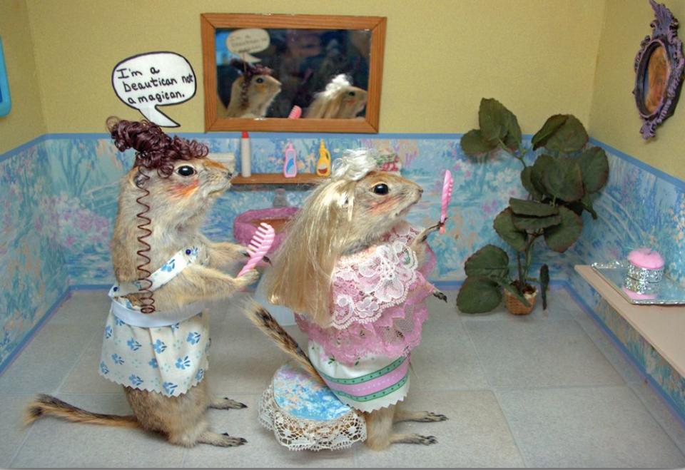 The Torrington Gopher Hole Museum in Alberta, Canada, features the history of the town using dozens of stuffed gophers.