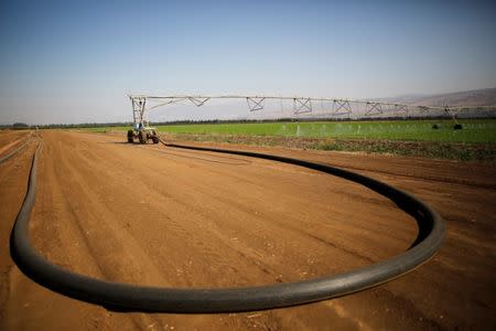 An irrigation system waters a field of crops in the Hula Valley, northern Israel October 23, 2017. REUTERS/Amir Cohen