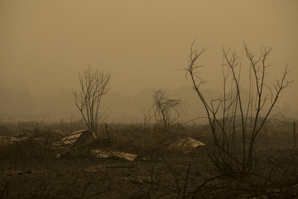 Vegetación dañada después de que un incendio forestal quemara una granja cerca de Mulino, Oregón, el 10 de septiembre de 2020. (Kristina Barker/The New York Times)