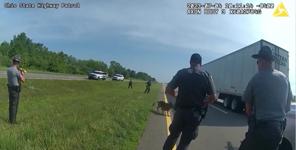 A newly released video shows a Circleville police dog viciously mauling an unarmed Black man who had already surrendered to authorities following a high-speed vehicle chase.
