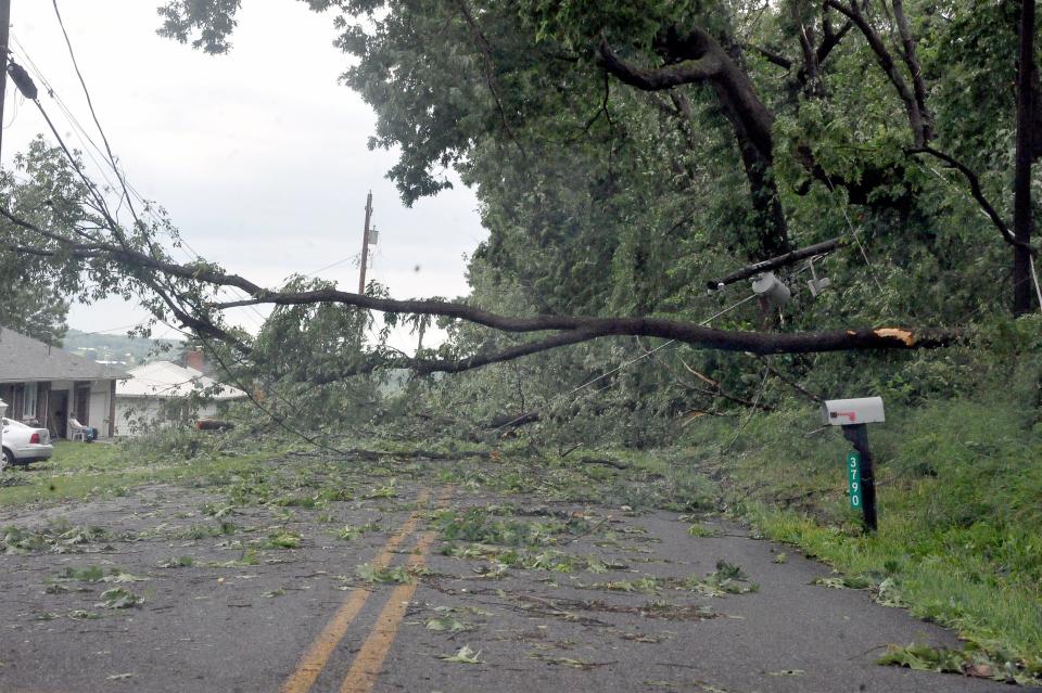 Several trees block Batdorf Road south of Wooster until crews can open it again.