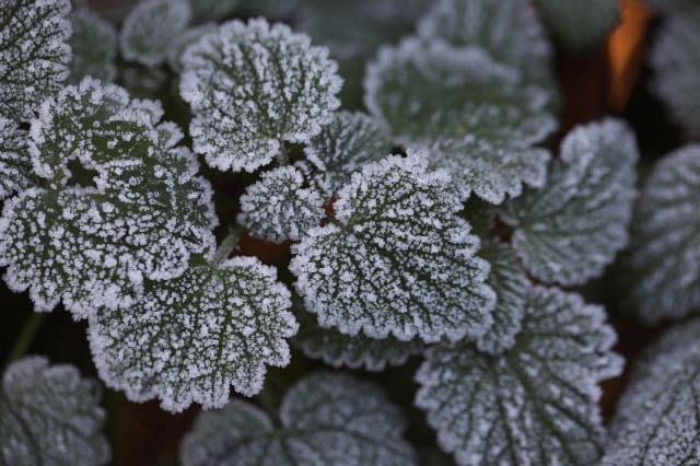 Health Warnings Issued As Freezing Fog Envelops The UK