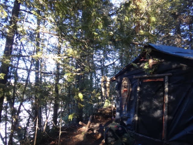 Uma foto da cabana abandonada de Miles onde ele residiu por seis anos, perto de Dryden, Ontário. 