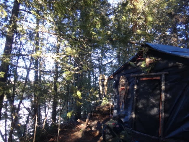 A photo of Miles' abandoned cabin he resided in for six years, near Dryden, Ont.