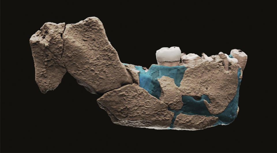 This undated image provided by Tel Aviv University in June 2021 shows a virtual reconstruction of a human ancestor mandible found in Nesher Ramla, Israel. On Thursday, June 24, 2021, scientists reported that bones found in an Israeli quarry are from a branch of the human evolutionary tree and are 120,000 to 140,000 years old. (Ariel Pokhojaev, Sackler Faculty of Medicine, Tel Aviv University via AP)