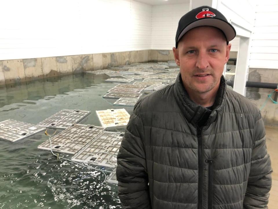 Rick Crane stands next to his new live lobster holding tank, which can hold 48,000 pounds of lobster. (Colleen Connors/CBC - image credit)