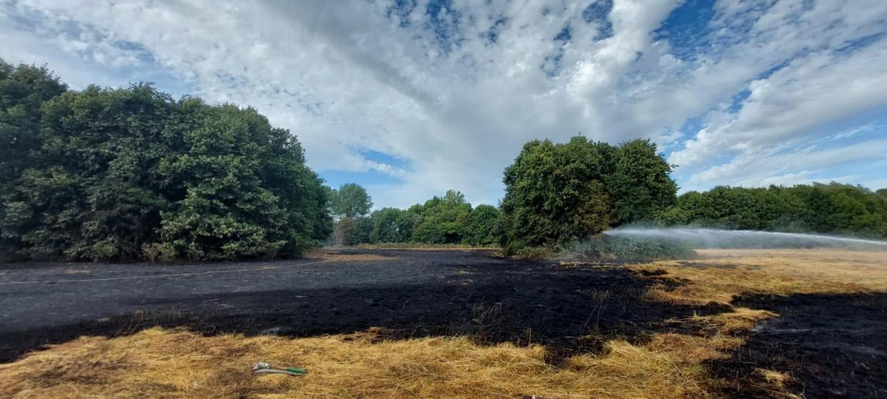 A meadow obliterated by fire at Morden Hall Park, London in July (National Trust/PA)
