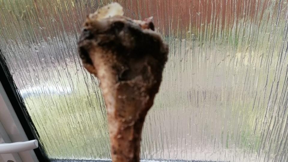 A lamb bone