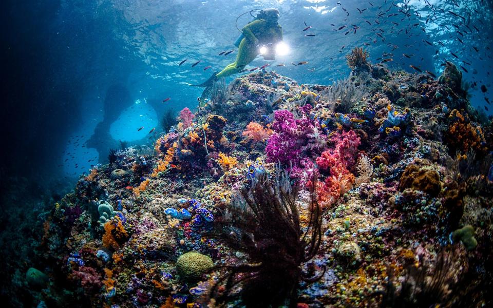 raja ampat, indonesia - Getty