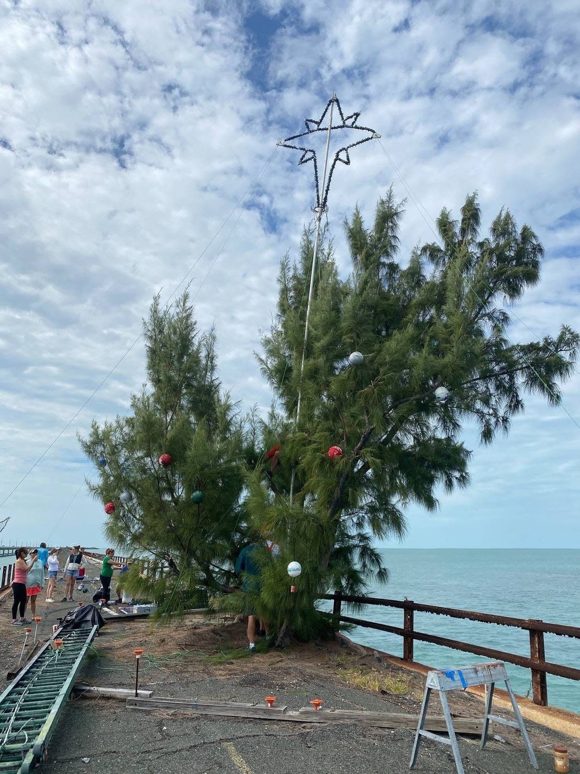 Every year, a crew of anonymous “elves” decorate the Australian pine known as Fred the Tree on a section of the old Seven Mile Bridge in the Florida Keys.