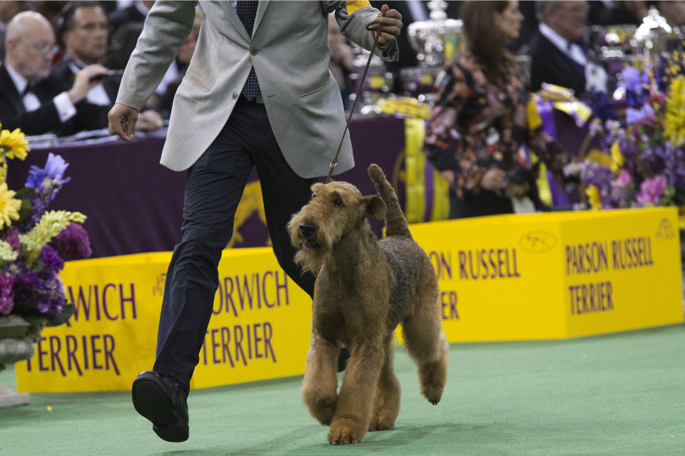 (AP Photo/Mary Altaffer)