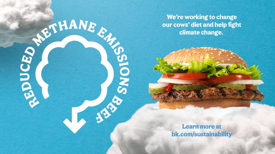 Burger King's new menu item aims to tackle the environmental impact of beef.