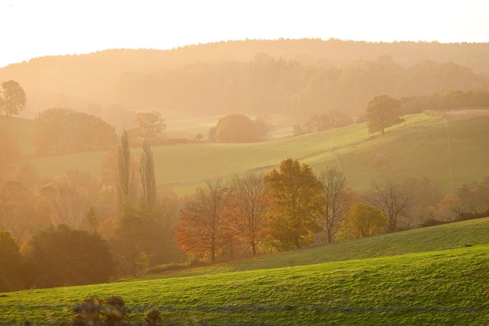 Winkworth Arboretum, Godalming. 19th November 2023. A sunny day across the Home Counties. Winkworth Arboretum near Godalming in Surrey showing the autumnal colours it is famous for. Credit: james jagger/Alamy Live News