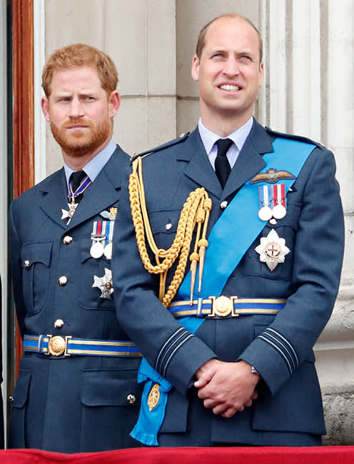 prince-harry-prince-william