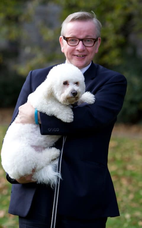 Michael Gove with his dog - Credit: Heathcliff O'Malley/Heathcliff O'Malley