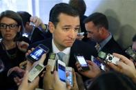 U.S. Senator Ted Cruz (R-TX) talks to reporters after a Republican Senate caucus meeting at the U.S. Capitol in Washington October 16, 2013. REUTERS/Jonathan Ernst