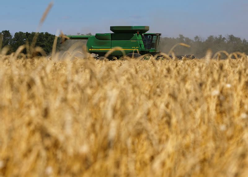 Wheat harvest in the Donetsk Region