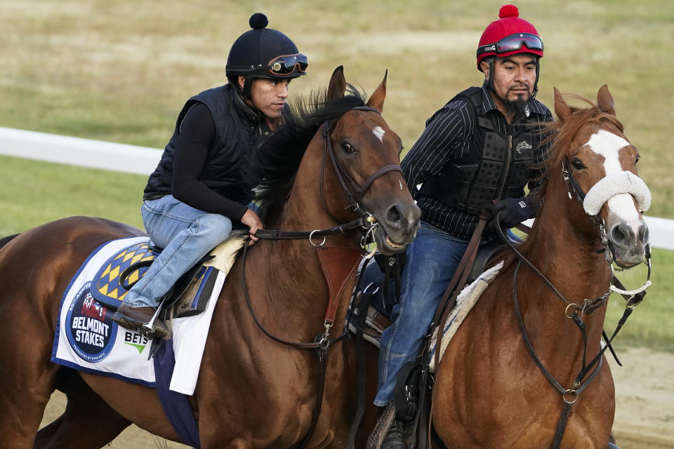 National Treasure, left, trains ahead of the Belmont Stakes horse race, Friday, June 9, 2023, at Belmont Park in Elmont, N.Y. (AP Photo/John Minchillo)