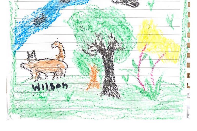 El dibujo del perro Wilson que hicieron los chicos colombianos