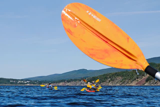 <p>William Craig Moyes</p> Kayaking in Forillon National Park.