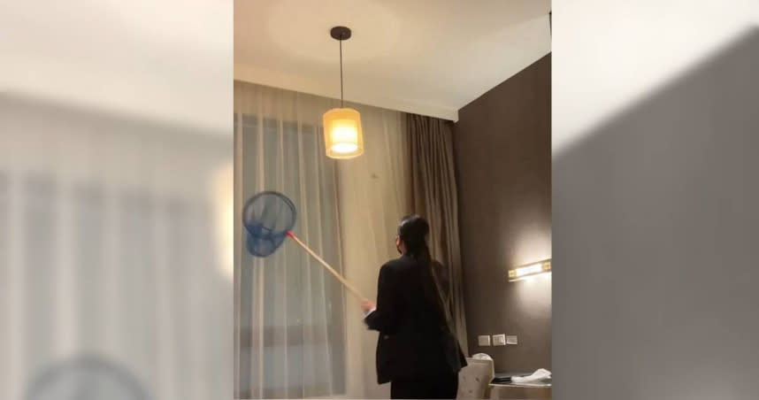 有網友拍攝影片指控三星級飯店蟑螂飛呀飛。（圖／翻攝自Dcard）