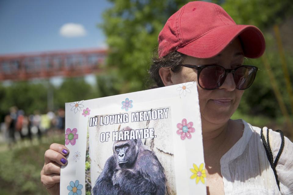 FILE - In this May 30, 2016, file photo, Alesia Buttrey, of Cincinnati, holds a sign with a picture of the gorilla Harambe during a vigil in his honor outside the Cincinnati Zoo & Botanical Garden, in Cincinnati. A Cheeto that bears a resemblence to the slain gorilla sold for nearly $100,000 on eBay Tuesday, Feb. 7, 2017. (AP Photo/John Minchillo, File)