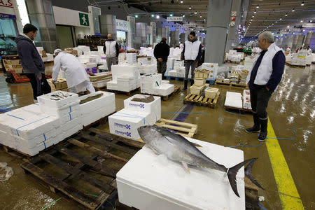 Vendors discuss near cases of Tuna fish at the fish pavilion in the Rungis International wholesale food market as buyers prepare for the Christmas holiday season in Rungis, south of Paris, France, November 30, 2017. Picture taken November 30, 2017. REUTERS/Benoit Tessier