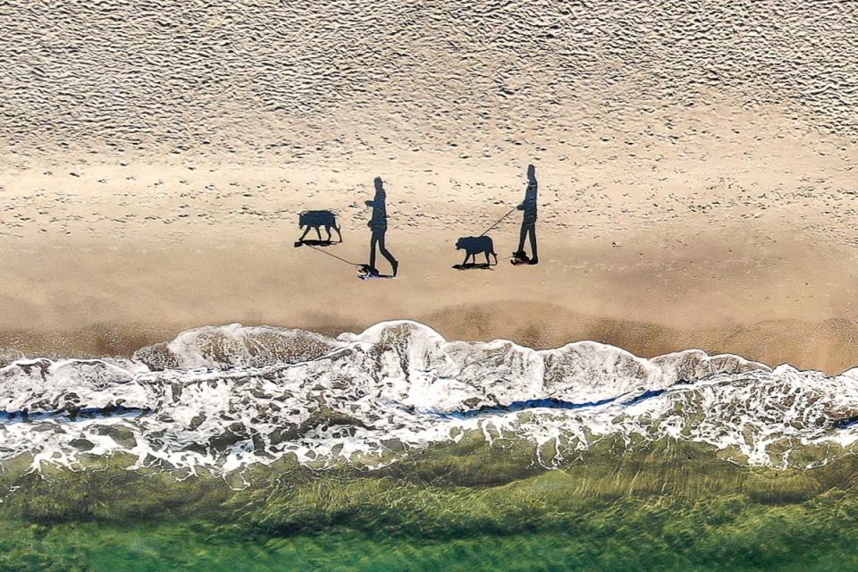 <p>Personas, perros y sombras en una playa del Mar Negro.<br><br>Foto: <a rel="nofollow noopener" href="http://www.dronestagr.am/" target="_blank" data-ylk="slk:Dronestagram;elm:context_link;itc:0;sec:content-canvas" class="link ">Dronestagram</a>/qliebin </p>