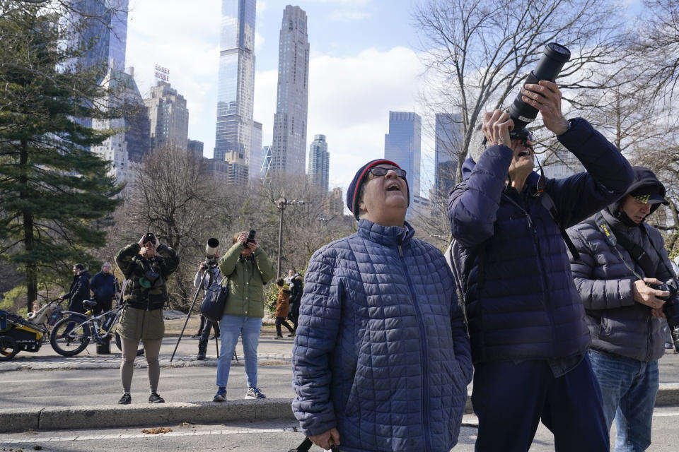 FILE - A crowd of people gather in Central Park to look at Flaco, a Eurasian eagle-owl, Monday, Feb. 6, 2023, in New York. In the year since his dramatic escape, Flaco has become one of the city's most beloved characters. By day he lounges in Manhattan's courtyards, parks and fire escapes. He spends his nights hooting atop water towers and preying on the city's abundant rats. (AP Photo/Seth Wenig, File)