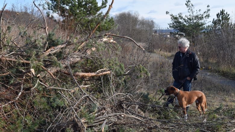 No charges against Coun. Blake Armstrong for destructive path in park