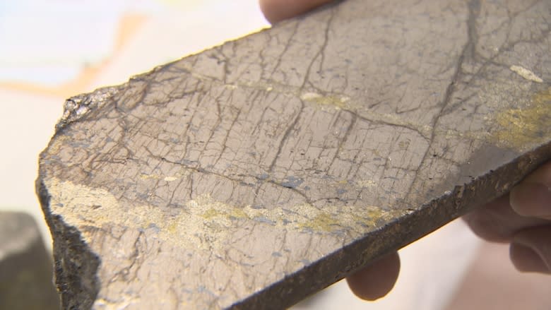 Mineral deposits at Voisey's Bay 'exquisite,' says geology professor