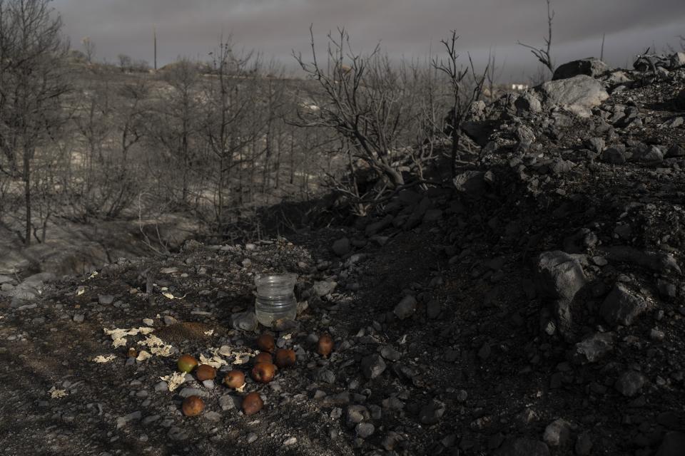 Apples and water for the animals, left by locals lie in the burnt forest near Gennadi village, on the Aegean Sea island of Rhodes, southeastern Greece, on Wednesday, July 26, 2023. Major fires raging in Greece and other European countries have advanced. The flames have caused additional deaths, destroying homes and threatening nature reserves during a third successive wave of extreme temperatures. (AP Photo/Petros Giannakouris)