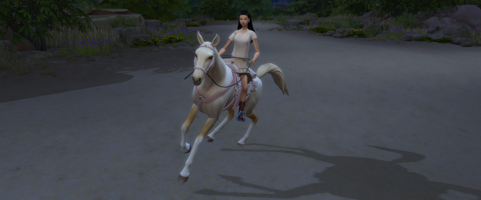 the sims 4 horse ranch