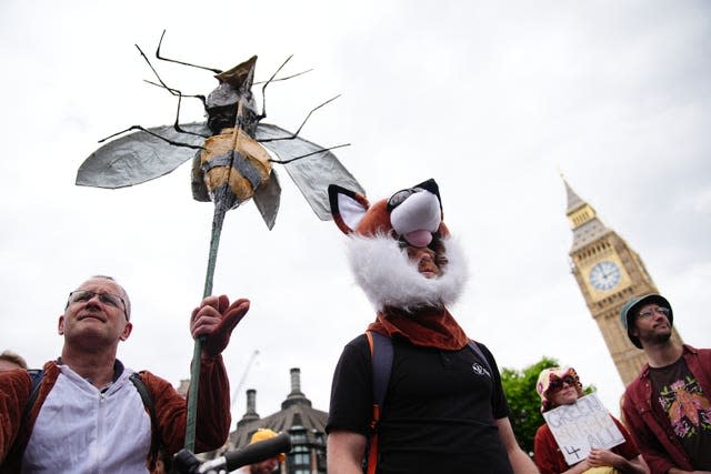 Kites and costumes at the demo