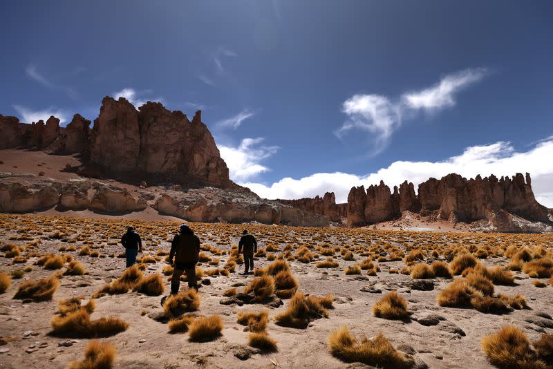 Atacama Desert salt flats, lithium deposit spots, in Chile