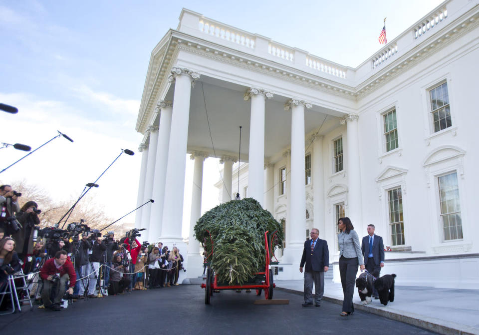 First lady Michelle Obama welcomes the official White House Christmas tree to the White House Nov. 27, 2015. This year’s tree was presented by Jay Bustard, left, and his brother Glenn Bustard, center, from Bustard’s Christmas Trees in Lansdale, Pa. (Photo: Pablo Martinez Monsivais/AP)