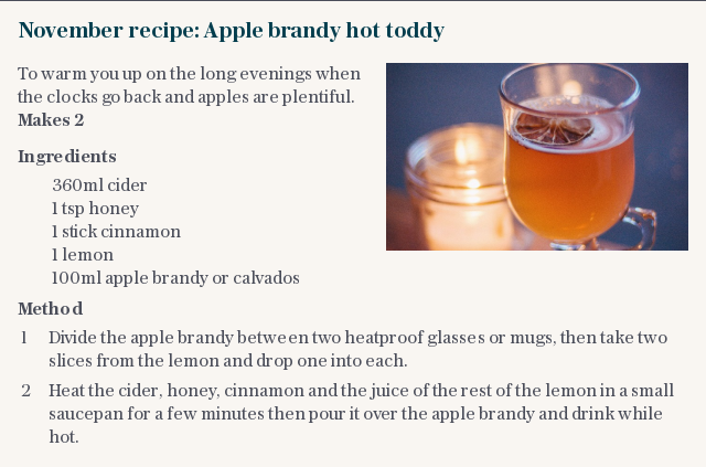 November recipe: Apple brandy hot toddy