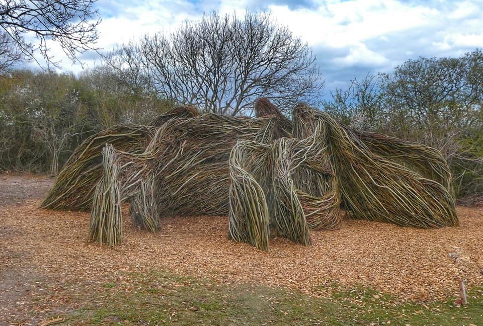 Isle of Wight County Press: Golden Hill Country Park's new willow maze, by John Bentley of the Isle of Wight County Press Camera Club.