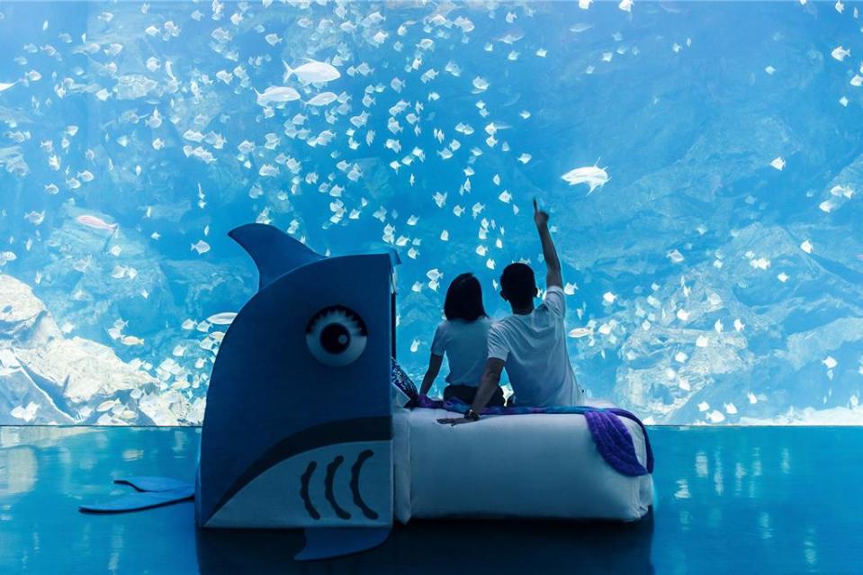 COZZI Blu和逸飯店桃園館「Blu Night」， 以星級床墊打造Q版鯊魚外型的「宿曦小窩」，使民眾夜宿Xpark時感受猶如躺在海平面般的舒適。圖／業者提供