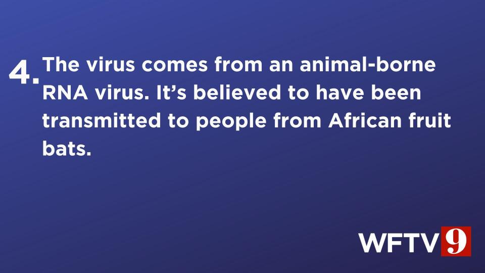 World Health Organization officials have confirmed the first-ever Marburg virus outbreak in the Central African nation of Equatorial Guinea.