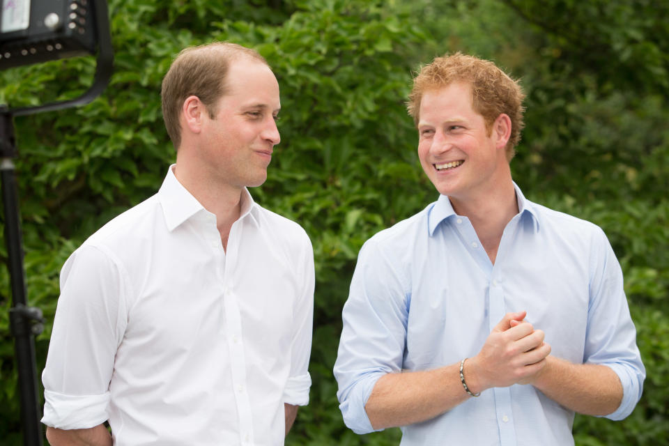 LONDON - 12th JUNE 2015:  Prince William and Prince Harry discuss the Queens Young Leaders programme with Kevin Cahill CBE, at Kensington Palace, on 12th June, 2015. (Photo by Victoria Dawe/Comic Relief/Getty Images)