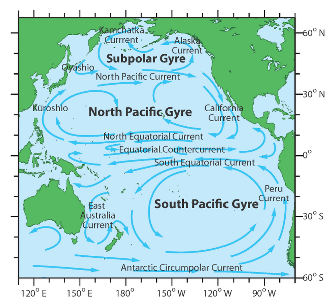 The North Pacific Gyre is a larger system that circulates warm water from the northern Pacific along the western U.S. coast and then west toward Asia, where it warms and helps create typhoons.