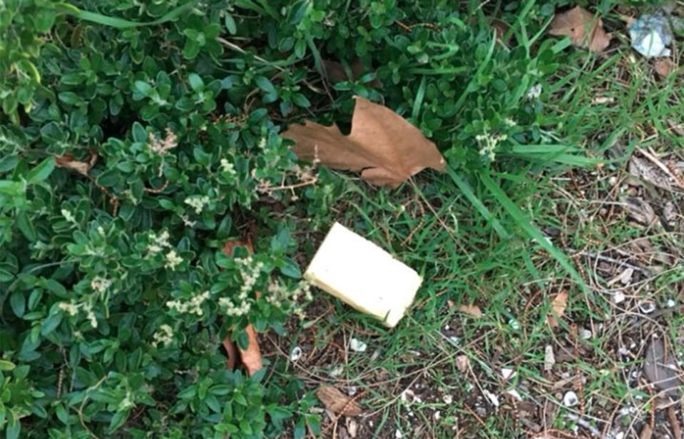 Baffled residents have reported finding blocks of tasty cheese popping up around an inner-Melbourne suburb, with the phenomena dubbed The Great Elwood Cheese Mystery. Source: Ruby Tuesday / Facebook