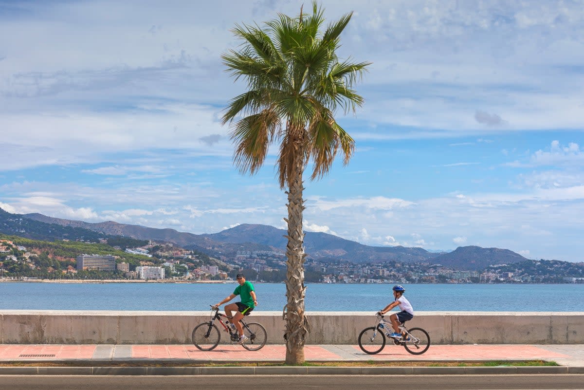 Tourists have also been asked to not cycle on public sidewalks and use designated cycle lanes (Getty Images)