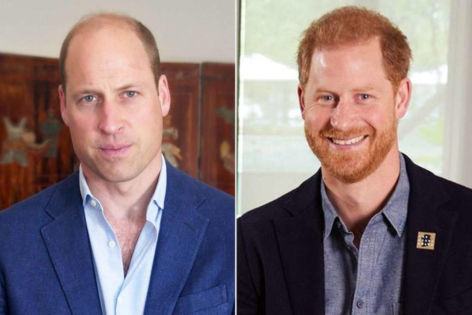 <p>Instagram/dianaaward</p> Prince William and Prince Harry appearing for the 2023 Diana Awards.
